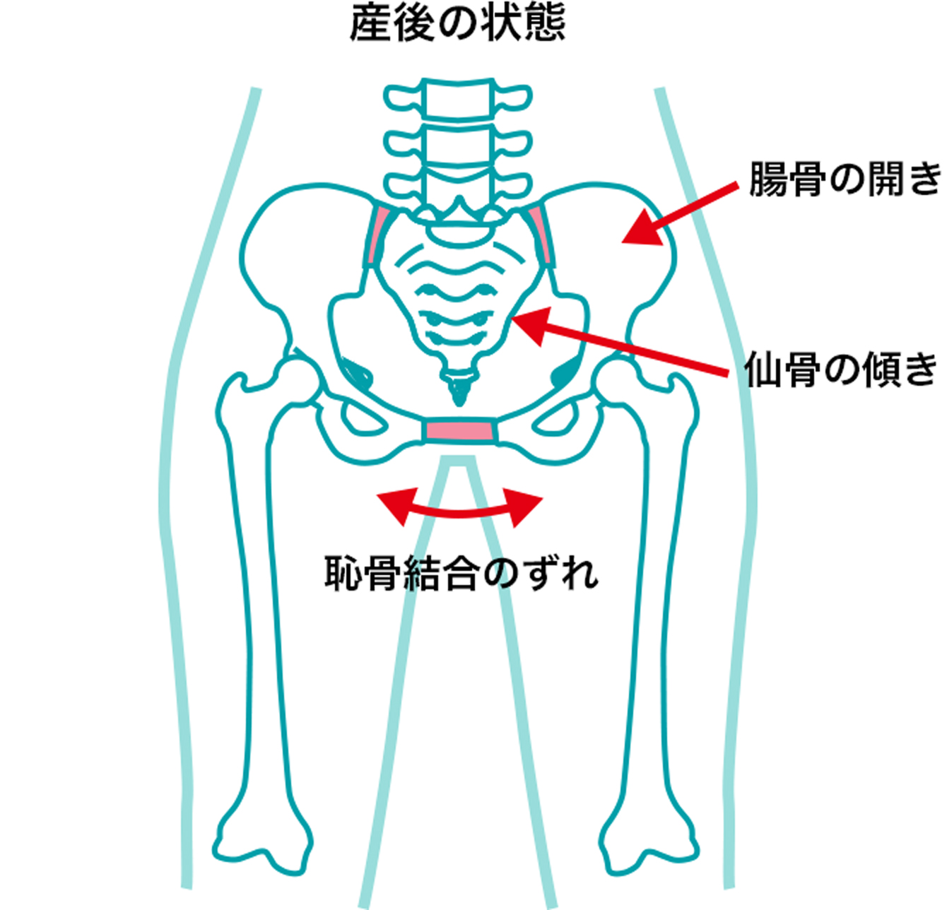 メニューと料金 あなたの接骨院メンテ